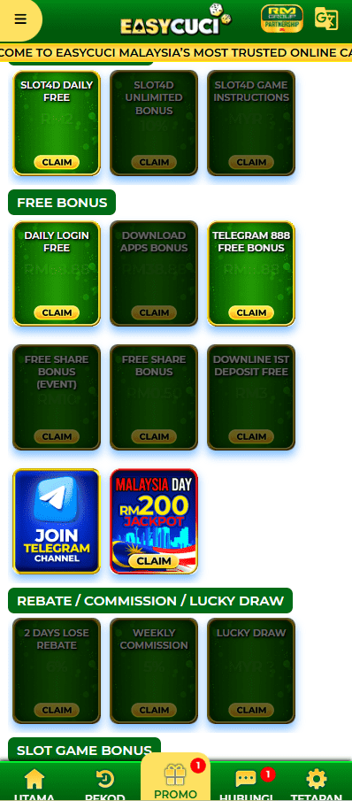 EasyCuci Promotion Overview